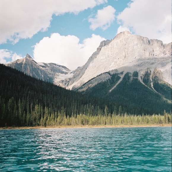 Meet your Posher, Chloe - Picture 1 of 1